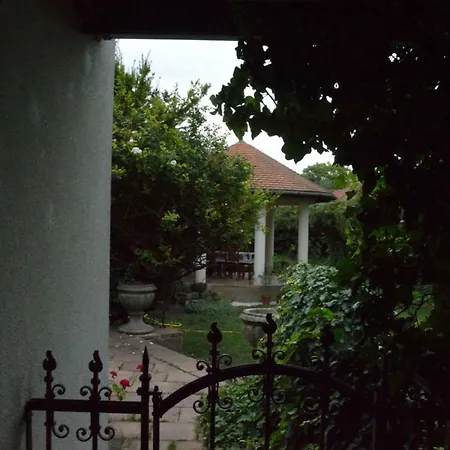 Zafir Vendeghaz *
